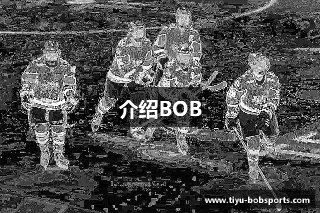 介绍BOB